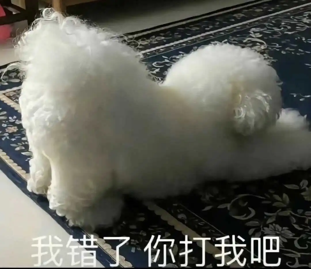 西檬之家-K8是什么？解锁字母圈猫咪系角色魅力