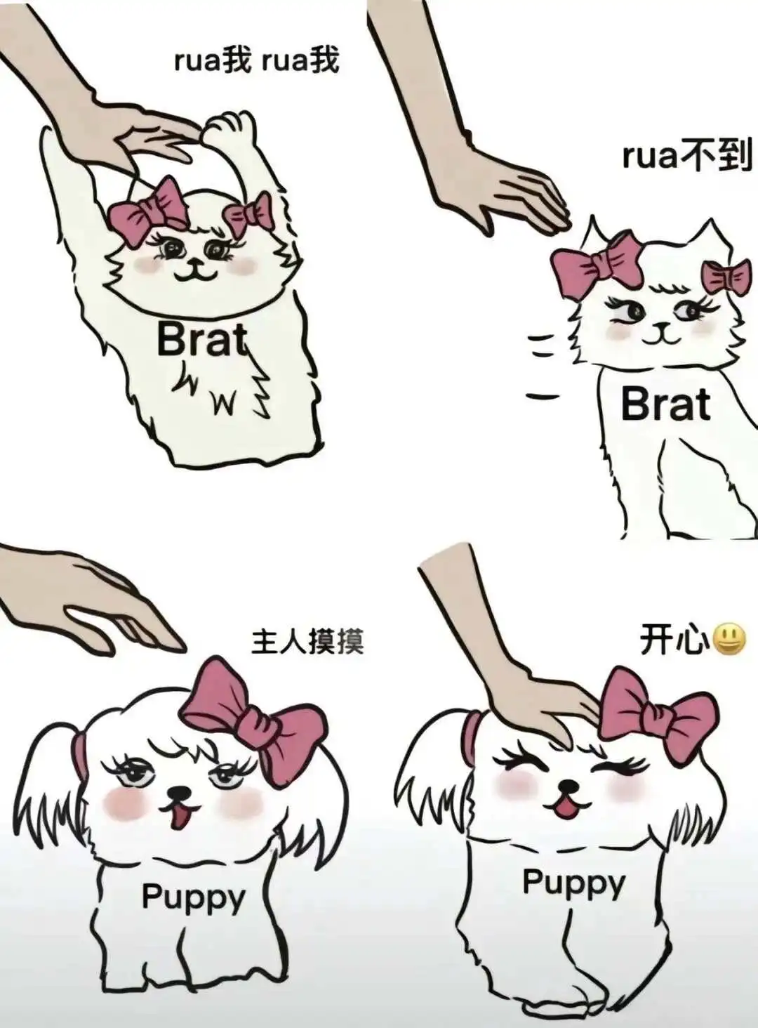 【西檬之家】字母圈的DOM是什么意思？