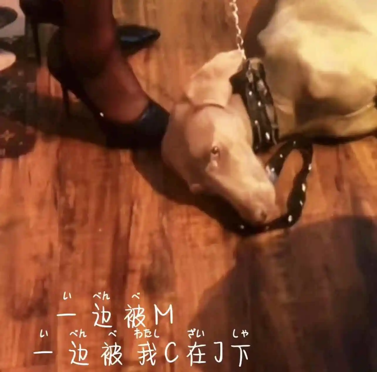 【西檬之家】Brat属性解析：理解字母圈中的“顽童”心理与互动