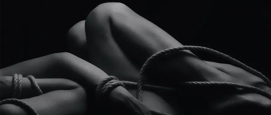 西檬之家-k9是什么：BDSM中K9角色扮演全面解析