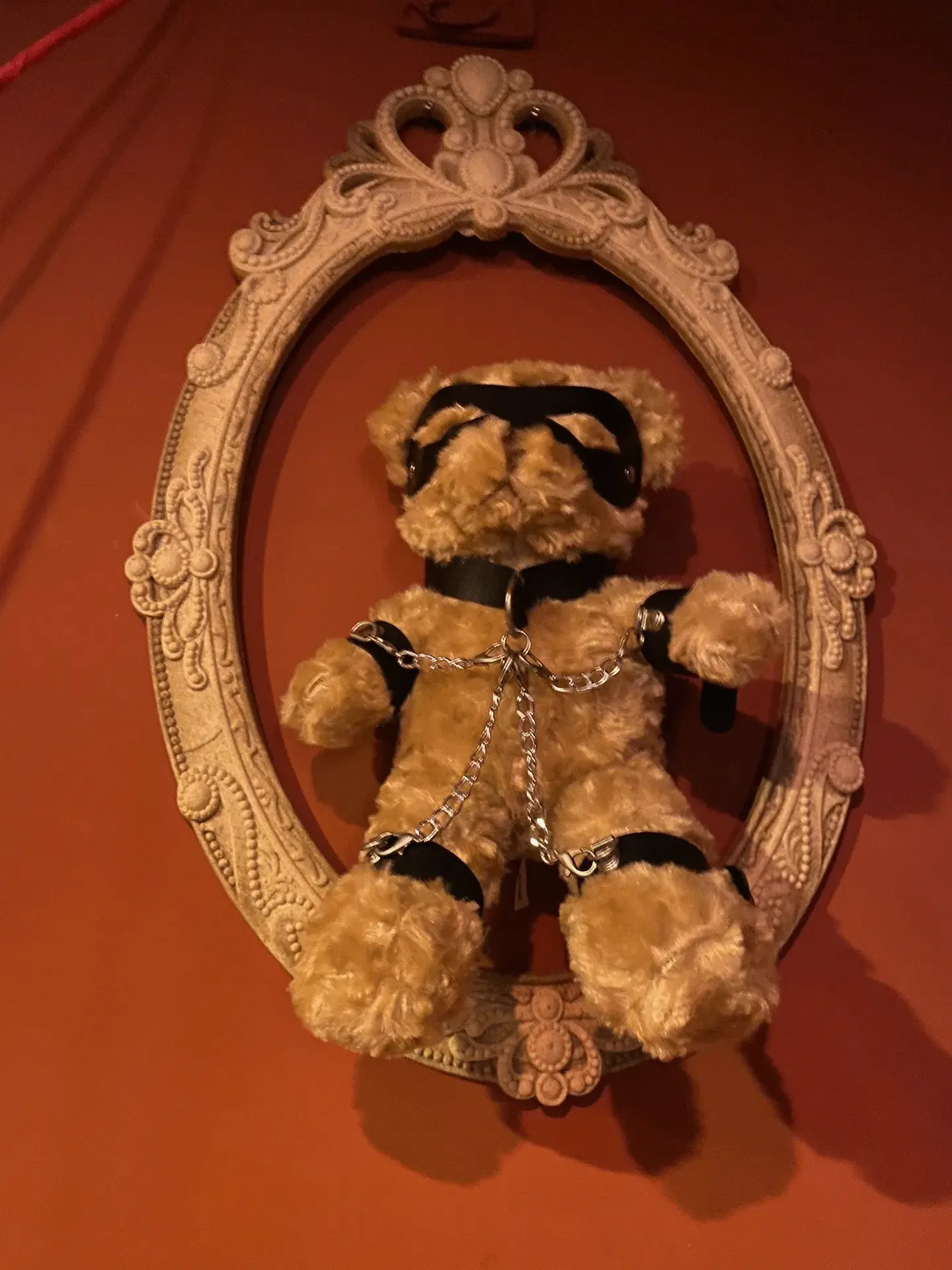 女王 - 2025-11-14 000222
