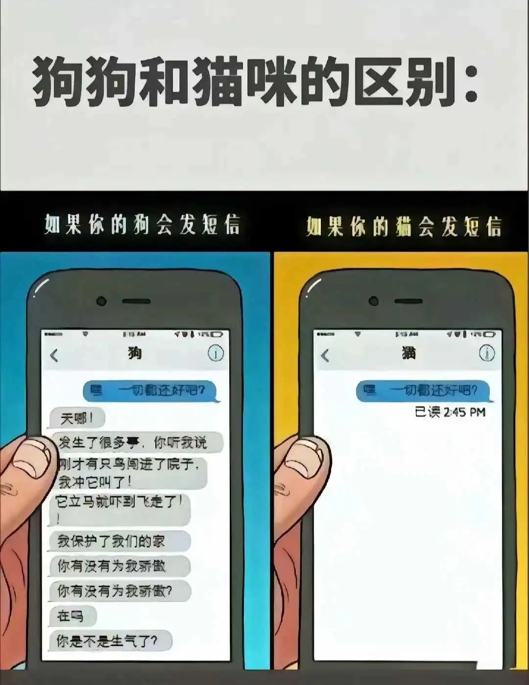 【西檬之家】字母圈新人首次入圈指南