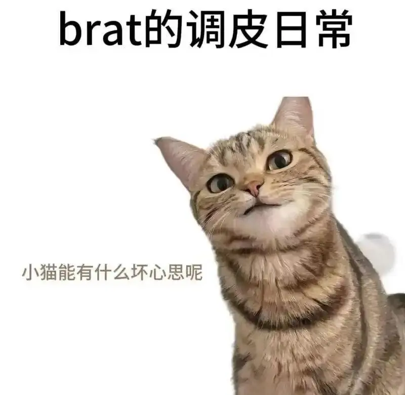 OTK - 微信图片_20251203212836_109_19