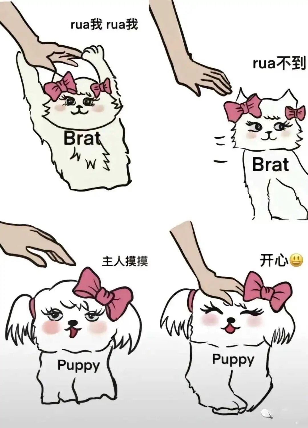 西檬之家-OTK是什么？字母圈新人入圈指南