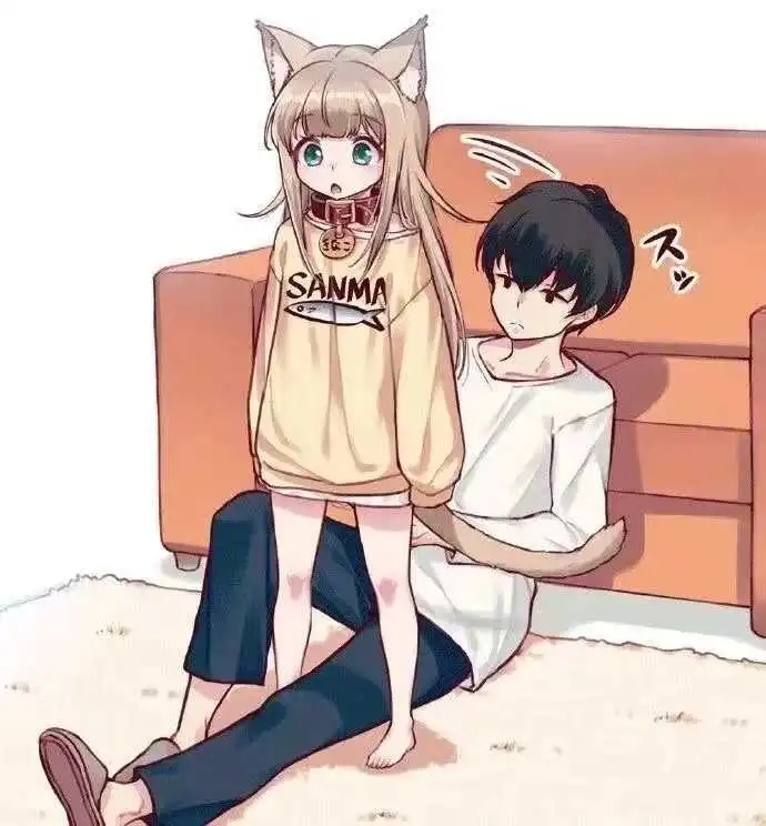 【西檬之家】K8猫系是什么？字母圈中的猫系角色扮演深度解析